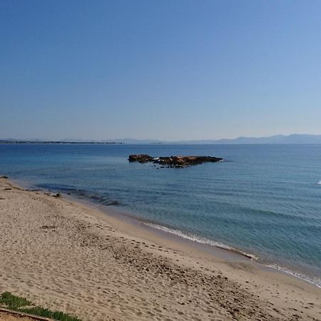 Summerhouse Peggy: Close To Athens Airport By The Sea Артеміда Екстер'єр фото